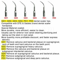 10× Dental Ultrasonic Piezo Scaler Tips fit Woodpeck EMS DTE SATELEC Handpiece