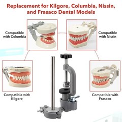 Dental Typodont Teeth Model Dental Simulator Dental Mannequin Implant Head Model