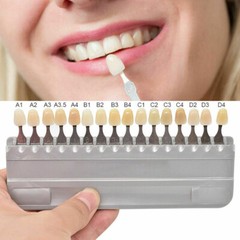 Dental VITA 3D MASTER Bleached Teeth Shade Guide 29 Colors & classical 16 Colors