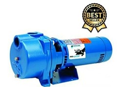 Goulds GT15 1.5 HP Water Well Irrigation Sprinkler Pump