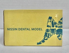 Nissin Dental Model, PRO2002-UL-SP-DPM-OB- Teeth & Gums Made In Japan Kilgore