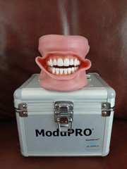 ModuPRO Dental Hygiene Plus MP-DH520_O ACADENTAL Typodont Dental Student Model