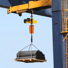 Electric Chain Hoist Single Phase Crane Hoist 2200 lbs Load 10 ft Lifting 1300W