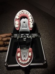Acadental Modpro With Soft cheek