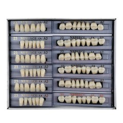 168pcs Denture Acrylic Resin Shade 23#A2 Dental Teeth Upper Lower Full Set Tooth