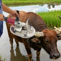 Cow Horn Remover Electric Cattle Dehorner Portable Electric Horn Cutting Machine