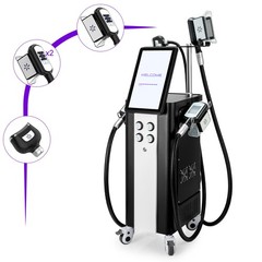 4 Handles Freezing Double Chin Removal Cool Therapy Body Massager Salon Machine