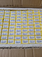 10 Bussmann FNQ-R-10 FNQR10 600Vac Fuses Limitron TIME DELAY Fuse