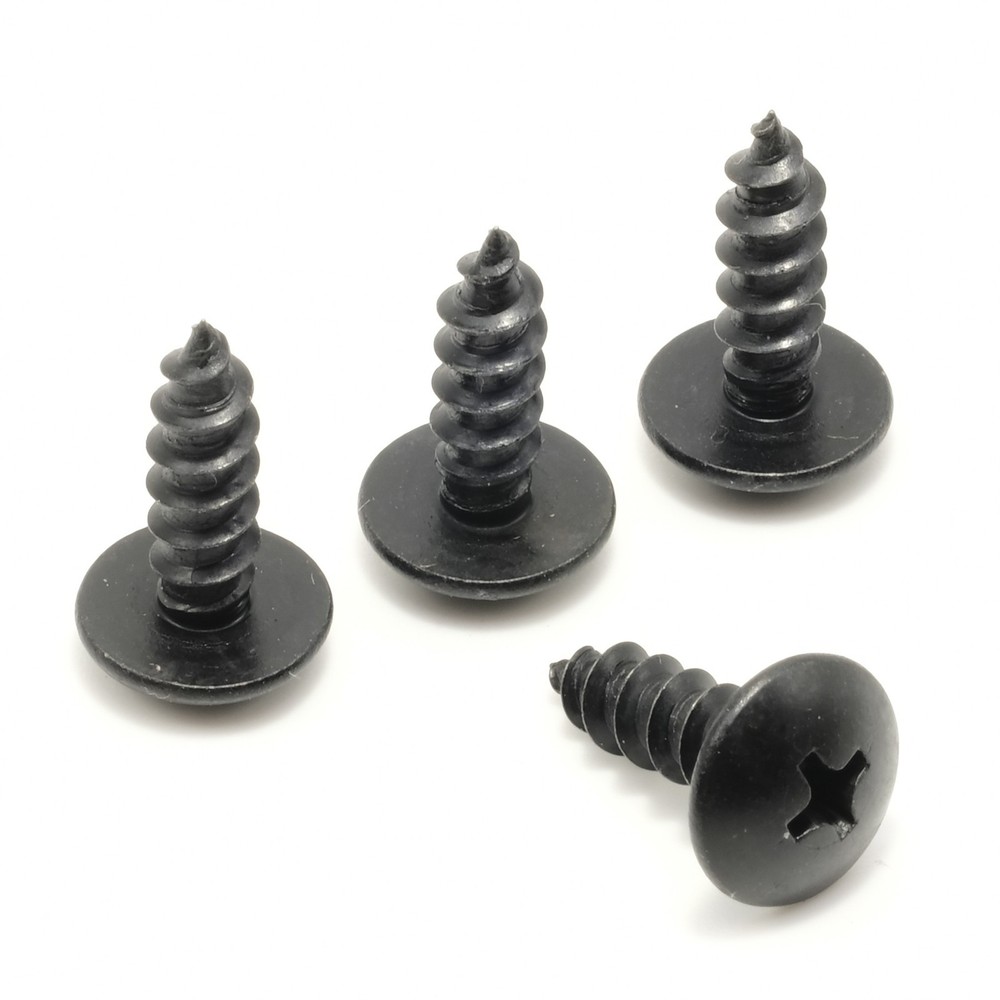 Stainless Screws for Subaru Outback License Plates (Set of 4, Black)