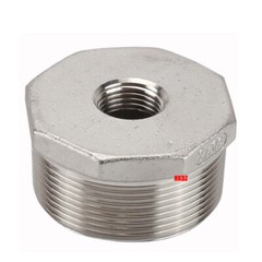 Stainless Steel 304 Female to Male BSP Threaded Fitting Reducing Bushes Adaptors