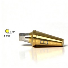 US Dental Angulated Abutment 17° W/screw Inter Hex Regular 2.5mm Dentist Lab A/B