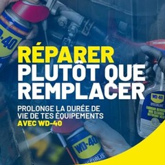 WD 40 All Purpose Spray Lubricant Cleaner Penetrant Moisture Displacer 1 Carton