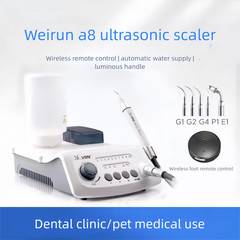 Dental Ultrasonic Scaler with LED Handpiece Auto Water Supply Fit EMS Cavitron