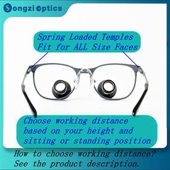 2.5X 3X 3.5X Optional Gray Titanium Frame TTL Dental Surgical Loupes Customized