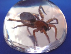 Epoxy Resin Clear 4 High Strength Fiberglassing, Coating, Casting, Glue, Potting
