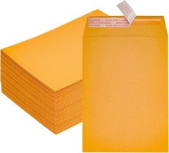 100 Pack 10×13″ Kraft Catalog Mailing Envelopes Mailers Peel Self Seal