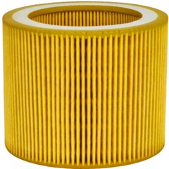 Air Filter 1613900100 Fit for Atlas Copco Compressor GX5 GX7 GX11 GA11C