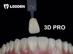 Dental Zirconia Block Porcelain Teeth 3D PRO Multilayer Translucency 98mm Disc