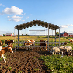 Free ship 13x13ft Galvanized Metal Livestock Shelter Heavy-Duty Cattle Shed US