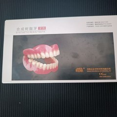 2Pack /20 Set Resin Denture False Teeth, Teeth Teaching Model Resin Denture US