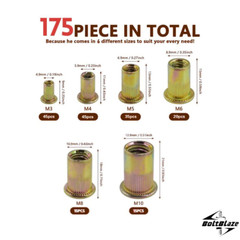 175Pcs Zinc-Plated Carbon Steel Rivet Nut Kit, M3-M10 Assorted Sizes, Flat Heads