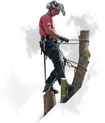 24-Strand 7/16 in (11 Mm), USA Made Arborist Rope – 7,000 Lb MBS – Static Climbi