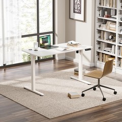 Electric Standing Desk 48 x 24 Inches, Height Adjustable Sit Stand Computer D…
