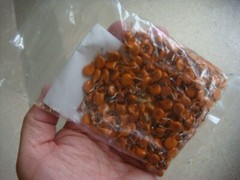 ONE BAG 250 VISHAY Ceramic Disc Capacitors 1000pf +/-10%, 400Vrms – New & Unused