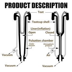 Milking Machine Accessory Goat Teat Cup, Double Cup with Tube for Goat, Sheep…