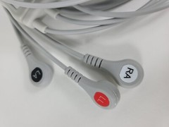 GE Vivid i, E, Q, IQ Compatible 3 Lead ECG Cable