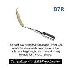 Ultrasonic Dental Scaler Tip Cleaning Implant Dental Orthodontic Teeth Dentures