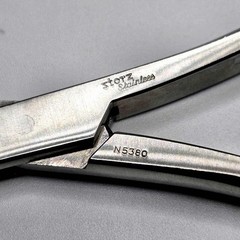 N5380 Storz Reiner Bane Rongeur 7 inches Curved Sigle Action 3×16 mm