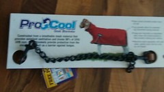 Weaver Leather Livestock Goat Collar 80-1099-G7