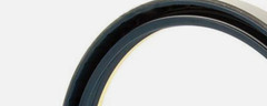 AGCO Cummins N14 855 Piston Liner Shim 0.062 In 3019960