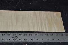 Tiger Maple Raw Wood Veneer Sheet 5 x 45 inches 1/42nd BLEMISHED 35139-62