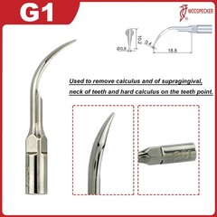 US Original Woodpecker Dental Scaler Tips Scaling Tip G1 G2 G4 P1 P3 For EMS