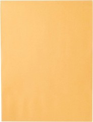 Secure 9″ x 12″ Brown Kraft Clasp Envelopes – 20 Pack for Reliable Mailing