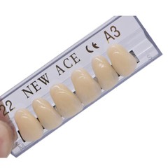 168Pcs Dental Acrylic Resin Denture 22# A3 Full Set Teeth Upper Lower Shade US