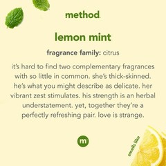 Method 1162 Lemon Mint Foaming Hand Wash Pump Bottle 10 oz. (Pack of 6)