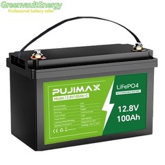 PUJIMAX 12V 100Ah LiFePO4 Lithium Battery BMS 100Ah Cycle Deep for Solar RV NEW