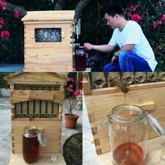 Auto Shed Full Set 7PCS Beehive Honey Hive Frame +Cedarwood Beekeeping Brood Box