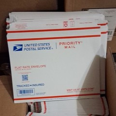 United States Postal Service Flat Rate Envelope EP14F Lot of 300