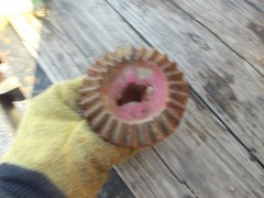 Farmall International IH grain drill planter drive sprocket gear ?282C