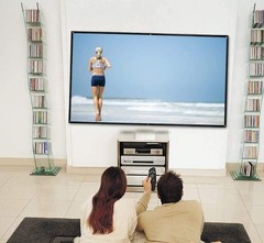 300 Inch Big Size Portable Outdoor Projector Screen, WRLSUN HD 16:9 300