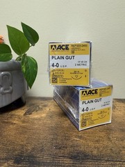 ACE Surgical Supply PLAIN GUT 4-0 18”/45cm LOT F528DBJ DS 18 ~ 2 boxes (12 ea.)