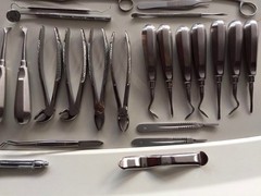 32 Pcs ORAL DENTAL EXTRACTION SURGERY EXTRACTING ELEVATORS FORCEPS INSTRUMENTS