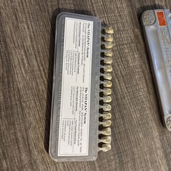2 VITALUMIN SHADE GUIDE DENTAL DENTURE & CROWNS POPULAR COMPLETE VITA, GERMANY