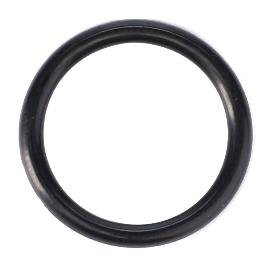 3707793M1 AGCO OEM Oil Sump O-Ring
