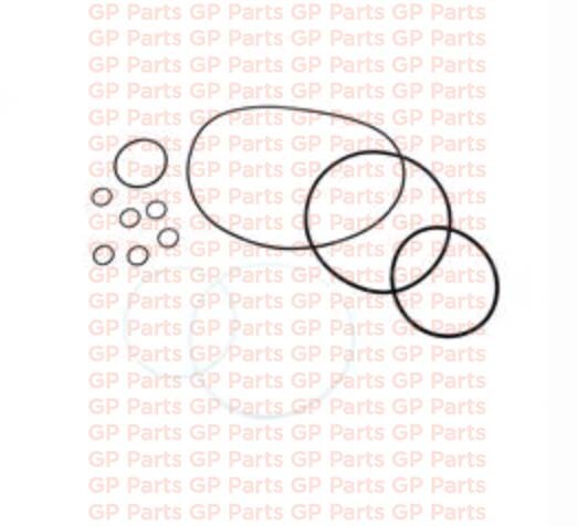 Genie 139354GT, O-RING KIT AUSCO 1200 IN/LB, Z34/22N