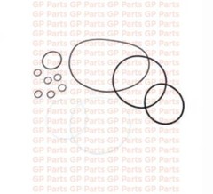 Genie 139354GT, O-RING KIT AUSCO 1200 IN/LB, Z34/22N